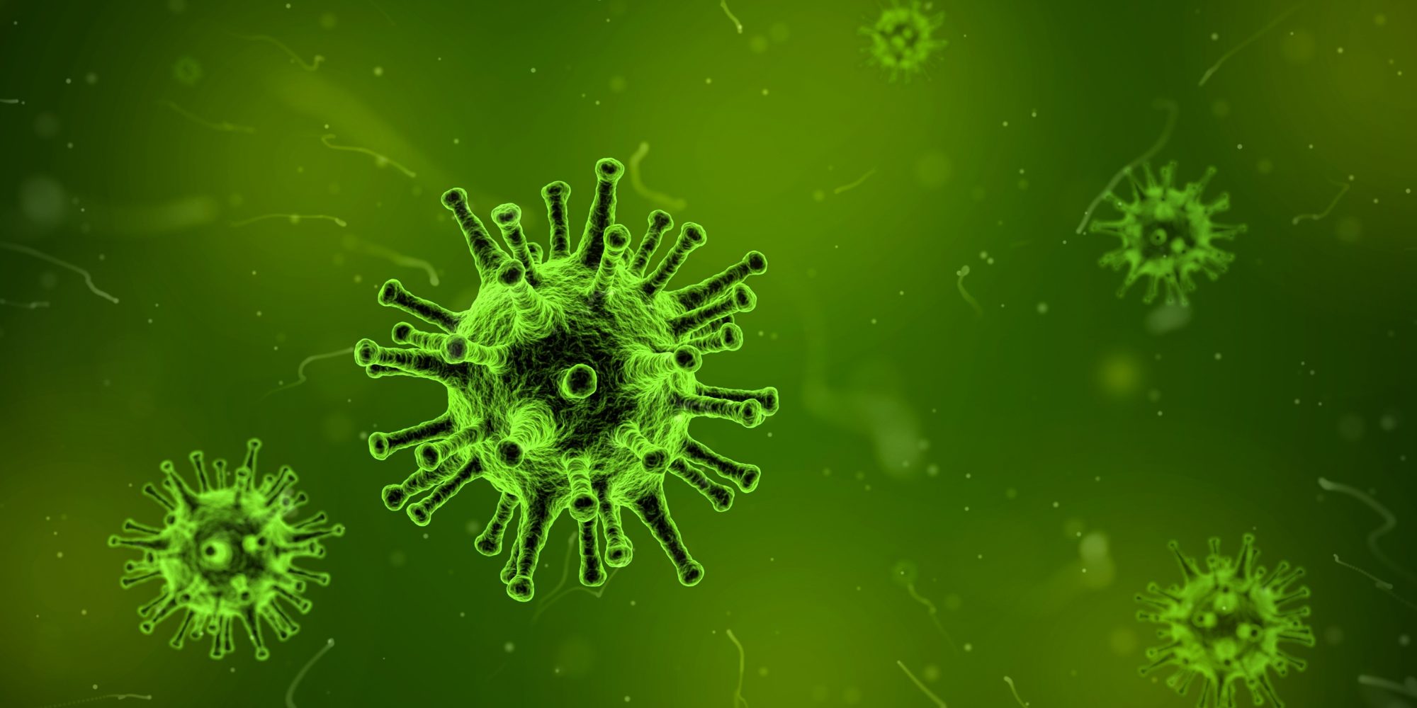 Corona-Virus: Was Freiberufler wissen sollten